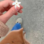 Ghada _Masri - @ghada_masri8 - Instagram