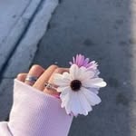 Ghada Masri - @ph.masri_ghy - Instagram