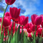 Ghada Masri - Facebook