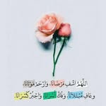 Ghada Moustafa - @ghada.moustafa.355 - Instagram