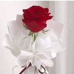 Ghada Ramadan - Facebook
