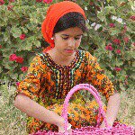 Ghada Salim - @ghdooooooosh - Instagram
