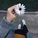 Ghada Safwat - @ghadasamaha - Instagram