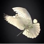 Ghada Taha - @taha.ghada.1978 - Instagram