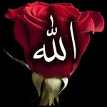 Ghada Zaher - @manaahmed7619 - Instagram