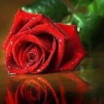 @ghada_zaher - Instagram