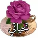 Hamid Gharib - Facebook