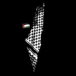 Mostafa Ghaleb Hamad - @mostafa_hamad11 - Instagram