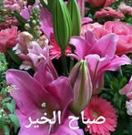 Ghassan Hamade - Facebook