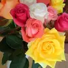 Ghassan Issa2103706990509 - @ghassan240 - TikTok