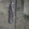 Ghee  Tan - @ghee.tan59 - TikTok