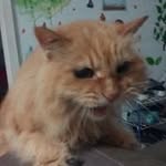 Ghee Tan - @ghee.tan - Instagram