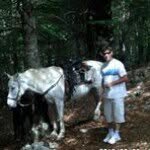 Gheorghe Stan - @gheorghe.stan - Instagram