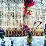 Gheorghe Stan - @gheorghestan908 - Instagram