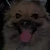 giannamenchaca238 - @giannamenchaca238 - TikTok