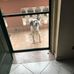 Piccolo Giacomo - Facebook