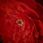 Gianfranco Martinez - @gianfranco5661 - Instagram