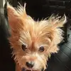 giannacolucci5 - @gianna.colucci5 - TikTok