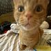 Gianna Lightner - Facebook
