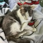 Moony Moonstone - @gianna_sweeney - Instagram