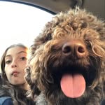 Gianna Tedesco - @tedesco4856 - Instagram