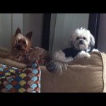 @gianna_winston_priscilla - Instagram