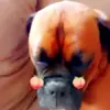 Gianni Basile45 - @gianni.b11 - TikTok