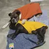 Gianni Catena - @gianni_catena - TikTok
