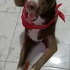 gianniarleycorrea - @gianniarleycorrea - TikTok