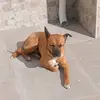 gianni.greco70 - @gianni.greco70 - TikTok