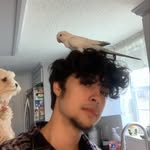 gianni guzman cohen - @gguzman457 - Instagram