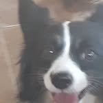 Gianni Perez - @perezgianni - Instagram