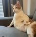 Giao Tran - Facebook