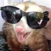 Gideon Dean379 - @gdawg2006 - TikTok