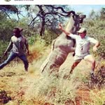 Gideon Gilliland - @gideon_gilliland - Instagram
