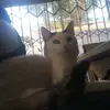 Gideon Joubert - @gideon.joubert00 - TikTok