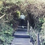 Gideon Joubert - @gideon.joubert - Instagram