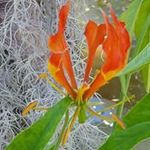 Gideon Pieter Joubert - @gideon.p.joubertq - Instagram