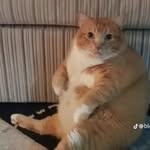 Gideon Martin - @ktos.mp3 - Instagram