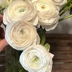 Gideon Schmidt - @gideonschmidt6 - Instagram