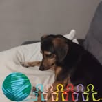 Gideon Simmons - Facebook