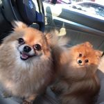 Gideon Simon - @gideon_simon - Instagram