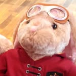 Fred Gideon Wood - @fred_ze_bunny - Instagram