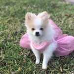Gidget Elliott - @gidget_elliott21 - Instagram