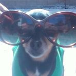 Gidget Fletcher - Facebook