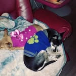 Christina gidget Foster - @chri.ssygidgetfoster - Instagram