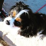Gidget Blue Foster - @gidgetbluefoster - Instagram