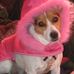 Gidget Gibson - Facebook