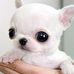 Gidget Gibson - Facebook
