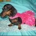Gidget Hamilton - Facebook